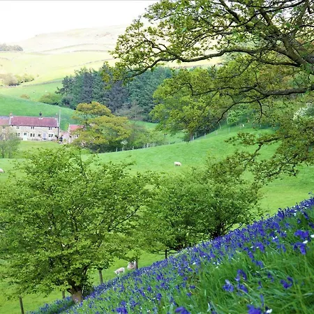 Dom wakacyjny Bluebells