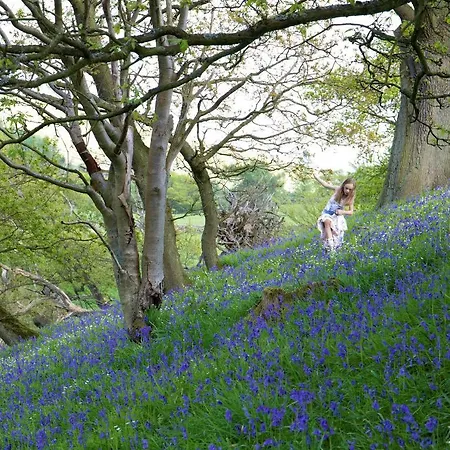 Bluebells Chop Gate