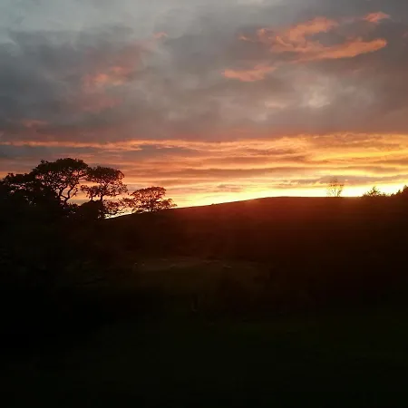 Bluebells * Chop Gate