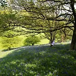 Bluebells Casa vacanze Chop Gate