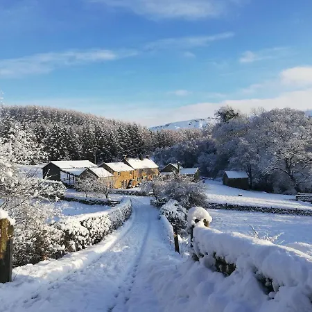 Bluebells Casa vacanze *
