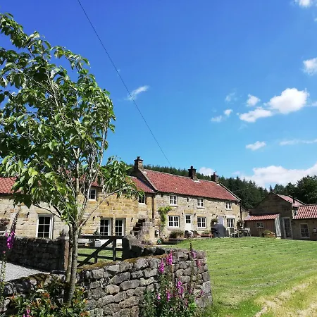Bluebells * Chop Gate